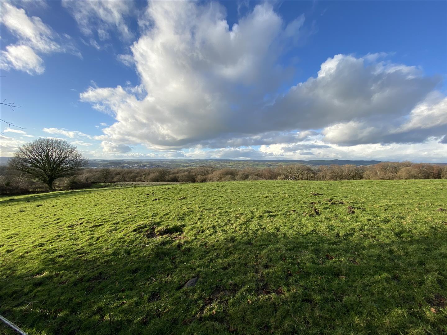 LAND